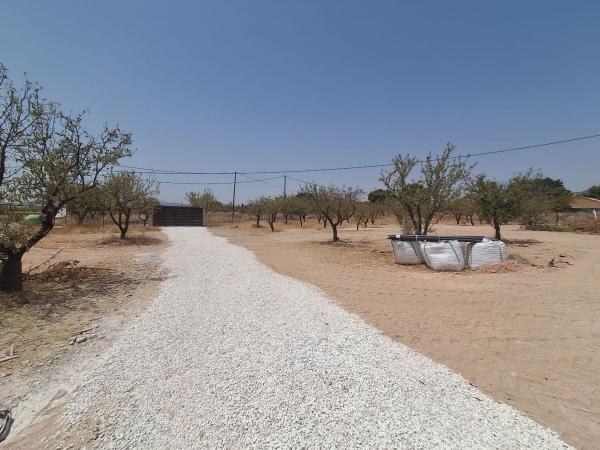 Finca rustykalna na sprzedaż w Finca rústica en Pinoso , Pinoso thumbnail 3