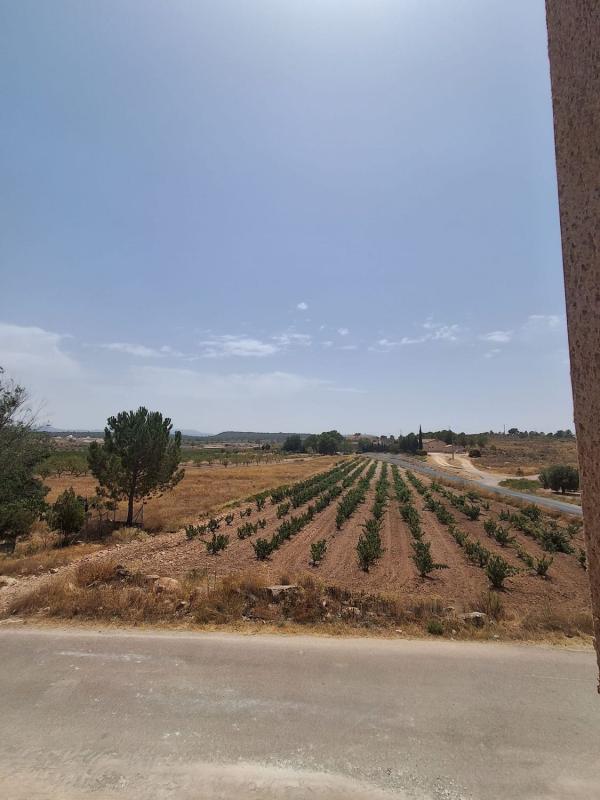 Venta de finca rústica en  Finca rústica en Pinoso , Pinoso photo 5