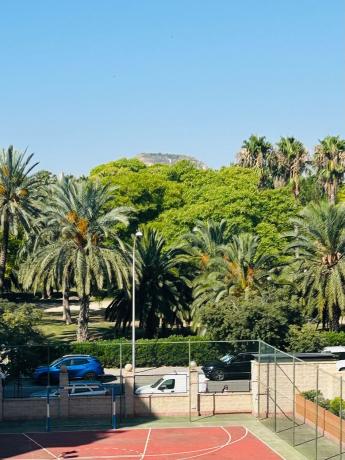 Продажа квартиры на Piso en Periodista Tirso Marín, 16, PAU 5, Alicante / Alacant, Аликанте / Алакант
photo 1