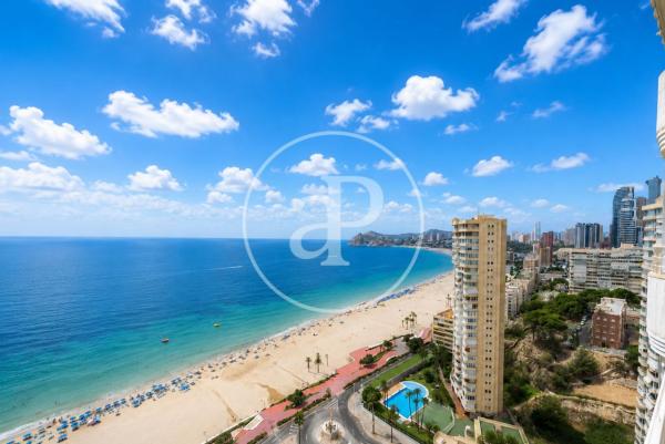 Продажа квартиры на Piso en Avenida de Xixo, Playa de Poniente, Benidorm, Бенидорм
thumbnail 2