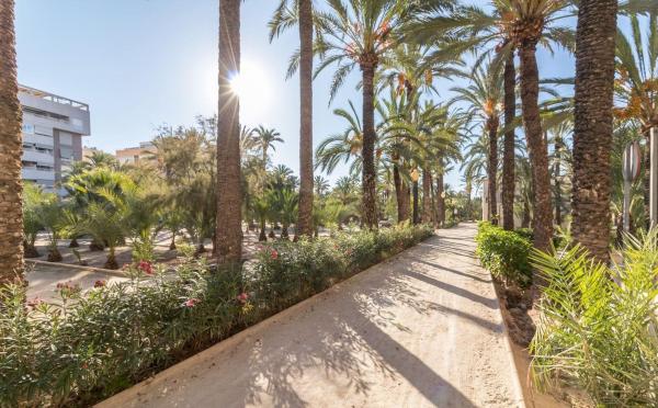 Venta de piso en Piso en Calle Fra Pere Balaguer, 68, Altabix, Elche / Elx, Elche / Elx
thumbnail 3