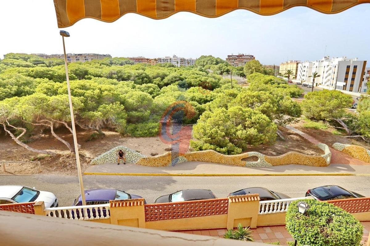 Venta de duplex en Dúplex en Avenida de Cervantes, 68, Zona Pueblo, Guardamar del Segura, Guardamar del Segura photo 4