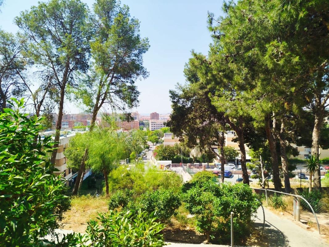 Продажа квартиры на Piso en Pintor Pedro Camacho, Ciudad Elegida, Alicante / Alacant, Аликанте / Алакант
 photo 4