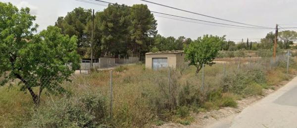 Finca rústica en venta en Finca rústica en Camino Cénia, 44, Monovar , Monovar thumbnail 2