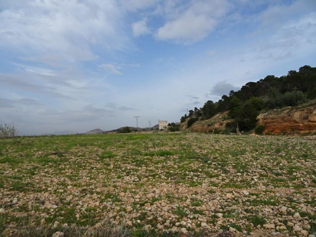 Venta de finca rústica en Finca rústica en Pedanías Oeste, Aspe , Aspe photo 2