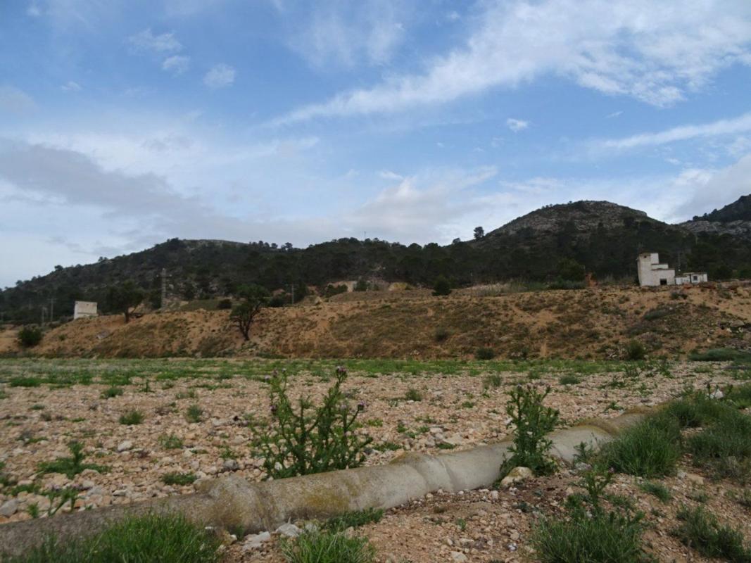 Venta de finca rústica en Finca rústica en Pedanías Oeste, Aspe , Aspe photo 3