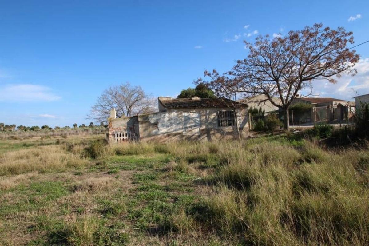 Sprzedaż działki rolnej w Finca rústica en La Marina, La Marina, Elche / Elx , Elche / Elx photo 5