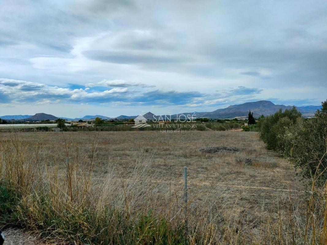 Venta de finca rústica en  Finca rústica en Pedanías Este, Aspe , Aspe photo 5