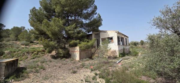 Casa rural en Pinoso photo 1