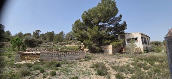 Casa rural en Pinoso photo 4