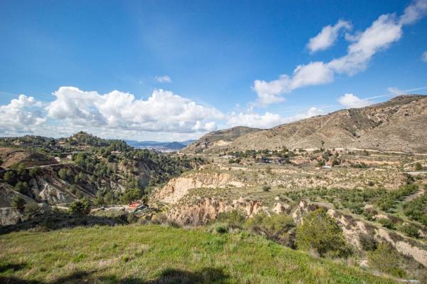 Rustic farm for sale in  Finca rústica en Partida el Figueralet, 16, Petrer , Petrer photo 2