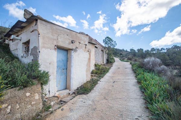 Rustic farm for sale in  Finca rústica en Partida el Figueralet, 16, Petrer , Petrer photo 3