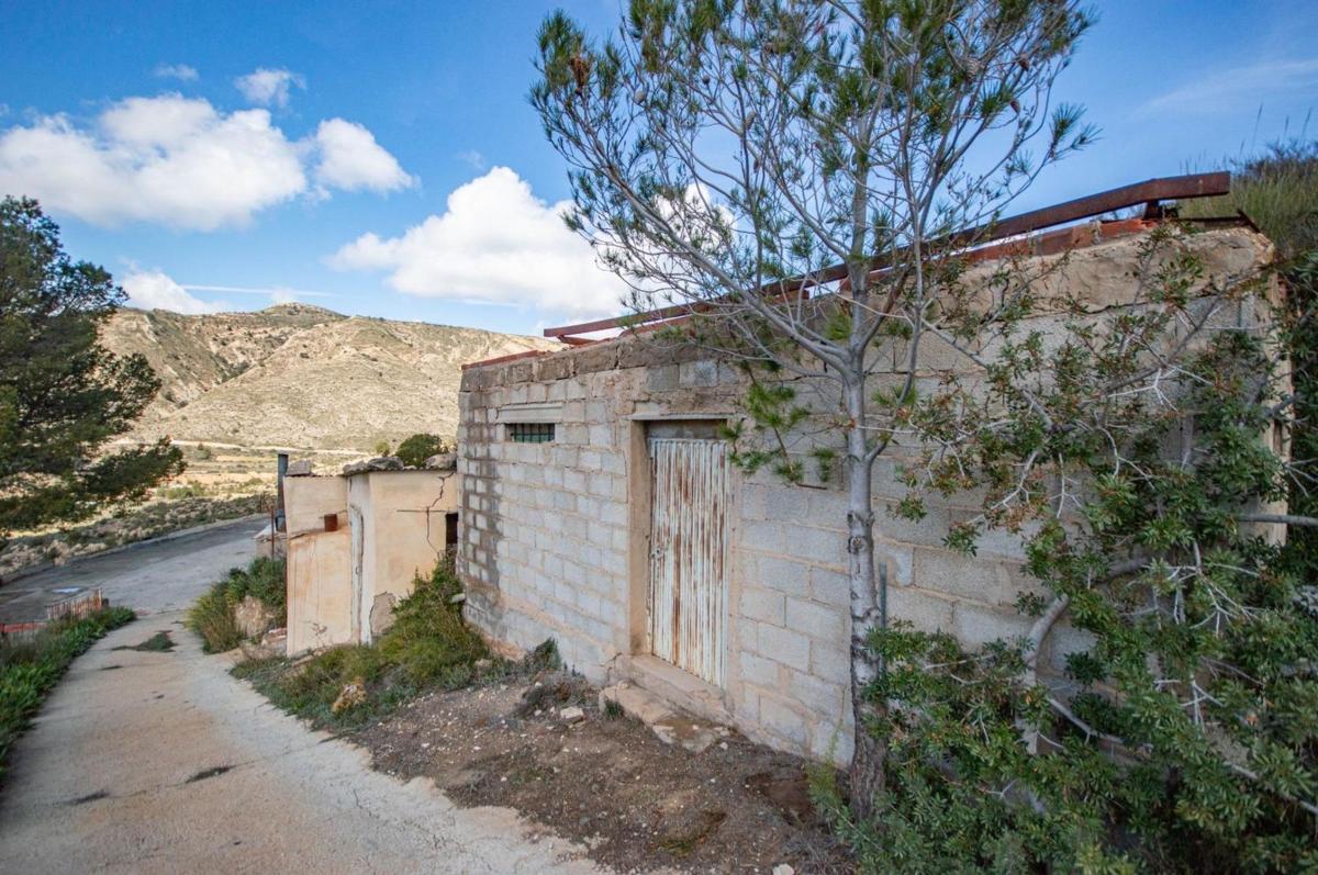 Sale of rural property in Finca rústica en Partida el Figueralet, 16, Petrer , Petrer photo 5