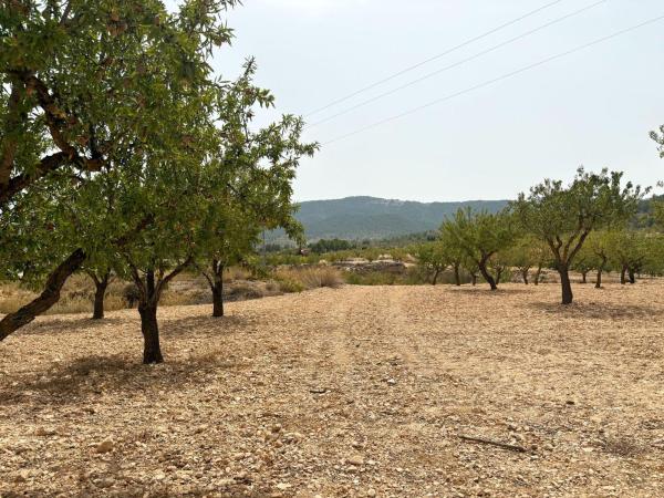 Продаётся загородный участок в  Finca rústica en Calle Don Quijote, Monovar , Моновар photo 2
