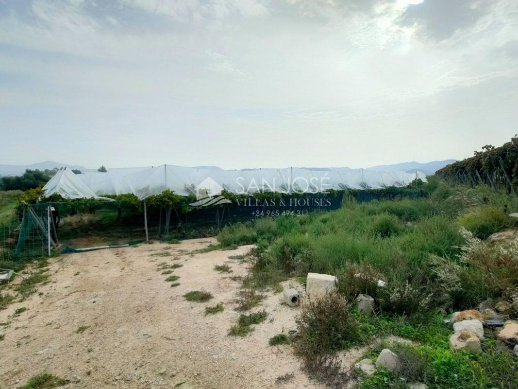 Venta de finca rústica en Finca rústica en Pedanías Este, Aspe , Aspe photo 3