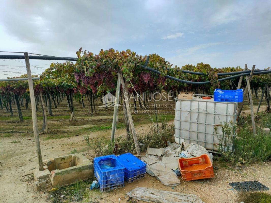 Venta de finca rústica en Finca rústica en Pedanías Este, Aspe , Aspe photo 5