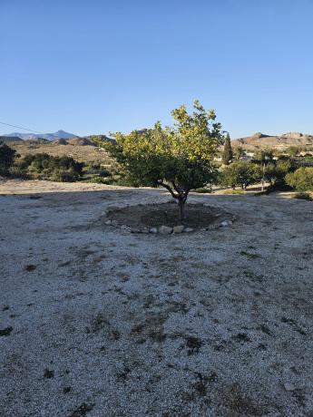 Casa rural en Diseminado Alcoraya, La Alcoraya thumbnail 3