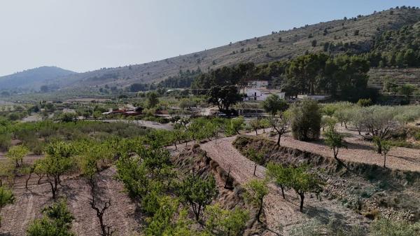 Продаётся загородный участок в Finca rústica en Partida Campos, 30, Ibi , Иби thumbnail 1
