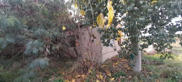 Rustic farm for sale in , Almoradí photo 4