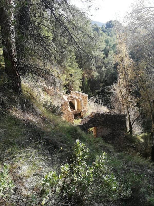 Properties for sale and rent in Spain photo 4