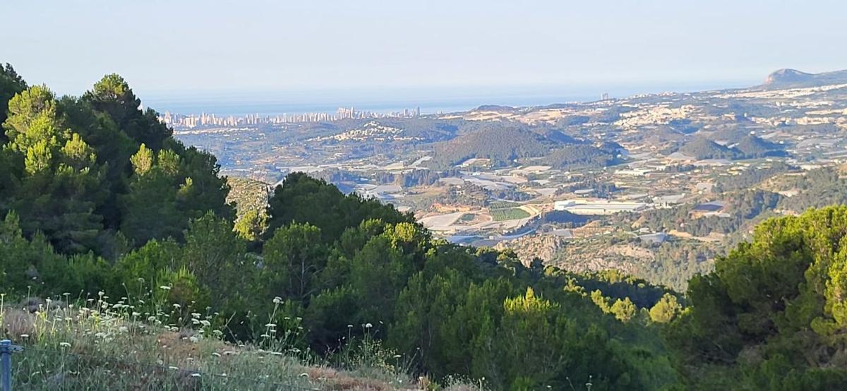 Sale of rural property in , Tarbena photo 4