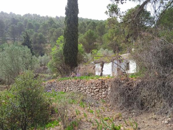 Rustic farm for sale in  Finca rústica en Carretera Font Roja s/n, Centro - Zona Alta, Alcoy / Alcoi , Alcoy photo 4