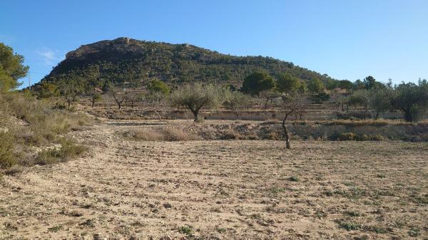 Rustic farm for sale in  Finca rústica en Partida les Macaroves, 9, Relleu , Relleu photo 4