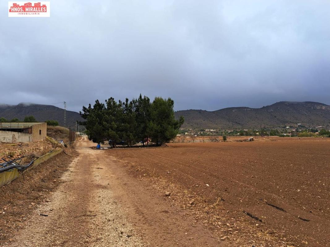 Sprzedaż działki rolnej w  Finca rústica en Hondón de las Nieves , Hondón de las Nieves photo 3