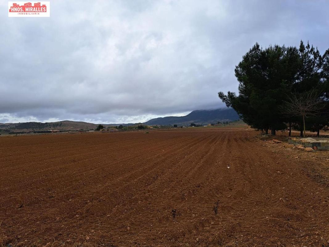 Sprzedaż działki rolnej w  Finca rústica en Hondón de las Nieves , Hondón de las Nieves photo 4