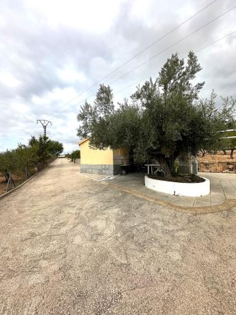 Продаётся загородный участок в  Finca rústica en Partida Foietes, Ibi , Иби photo 4