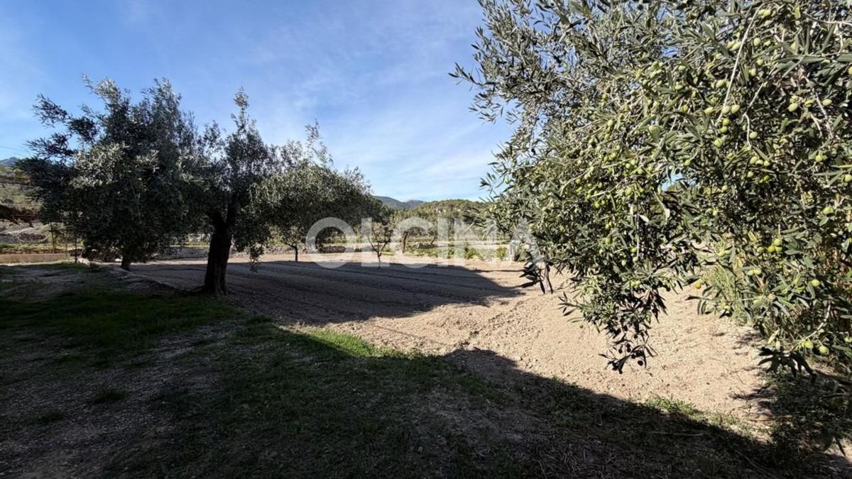 Sale of rural property in  Finca rústica en Tibi , Tibi photo 5