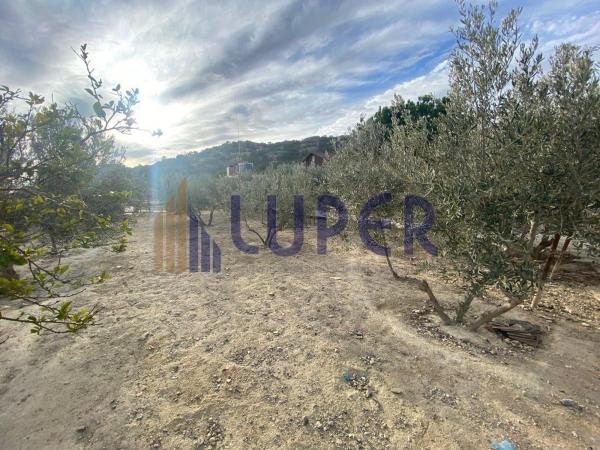 Продаётся загородный участок в  Finca rústica en Cañada del Fenollar , Каньяда дель Феноллар photo 4
