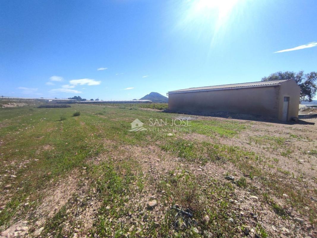 Venta de finca rústica en Finca rústica en Monforte del Cid , Monforte del Cid photo 2