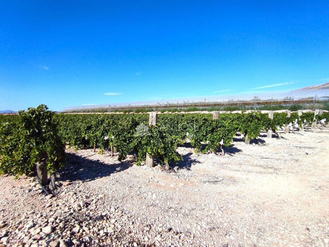 Venta de finca rústica en Finca rústica en Monforte del Cid , Monforte del Cid photo 4