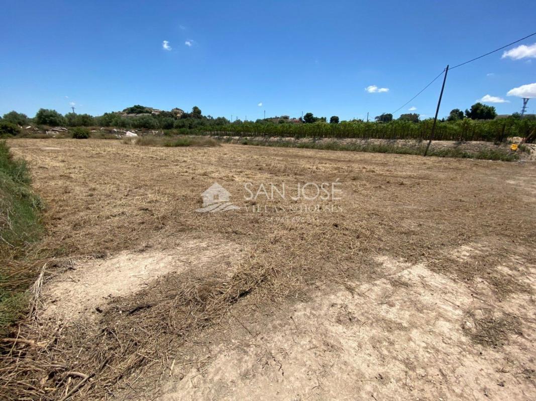 Venta de finca rústica en  Finca rústica en Pedanías Oeste, Aspe , Aspe photo 4