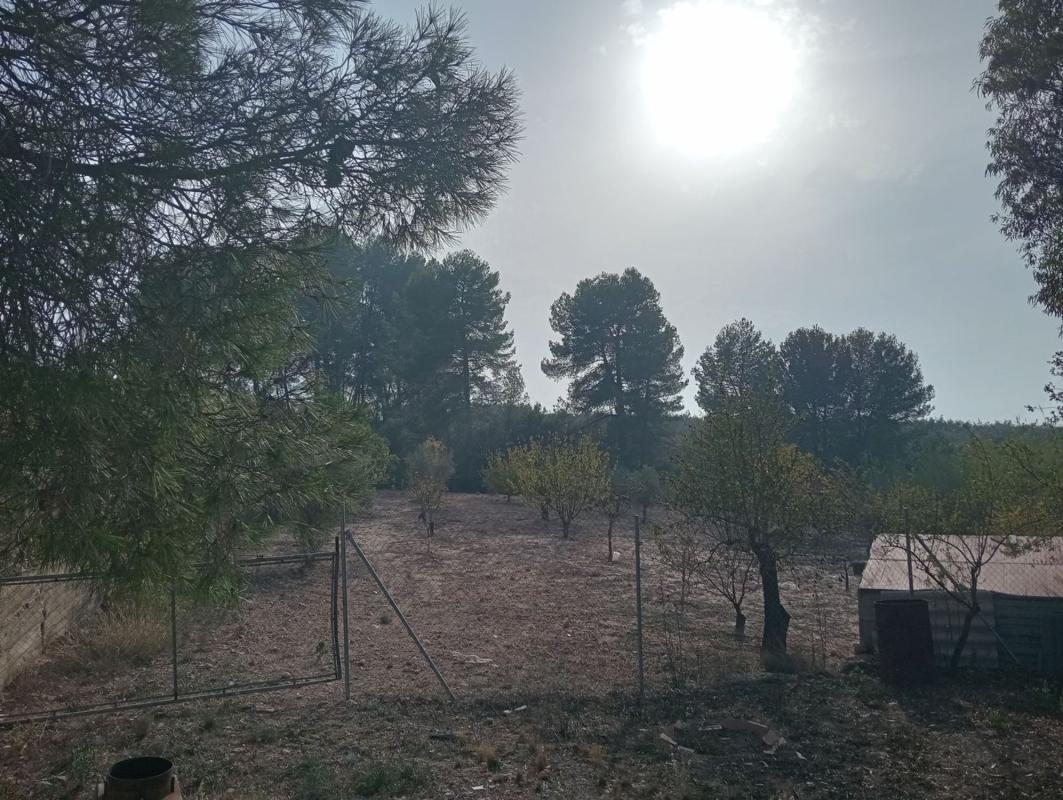 Sprzedaż działki rolnej w  Finca rústica en Poligono 2, 121 Parcela, Biar , Biar photo 3