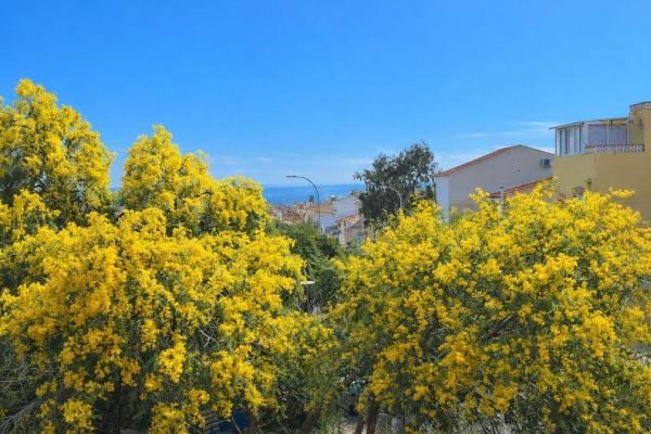 Chalet adosado en San Fulgencio photo 1