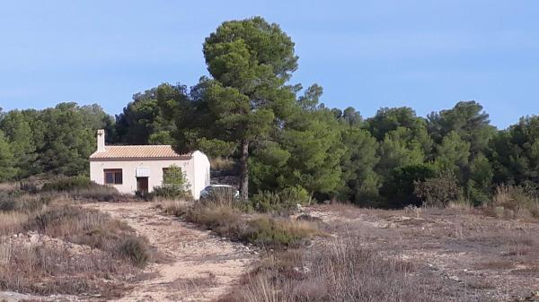 Casa rural en Carretera Encebras, 188, Pinoso photo 4