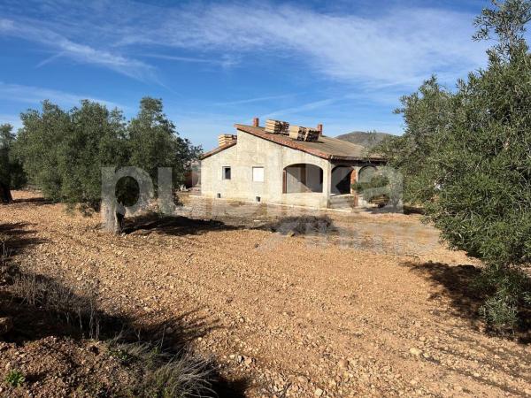 Casa o chalet independiente en Partida Hondo, 165, Hondón de los Frailes photo 1