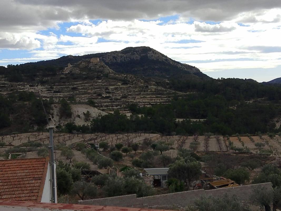Properties for sale and rent in Spain photo 4