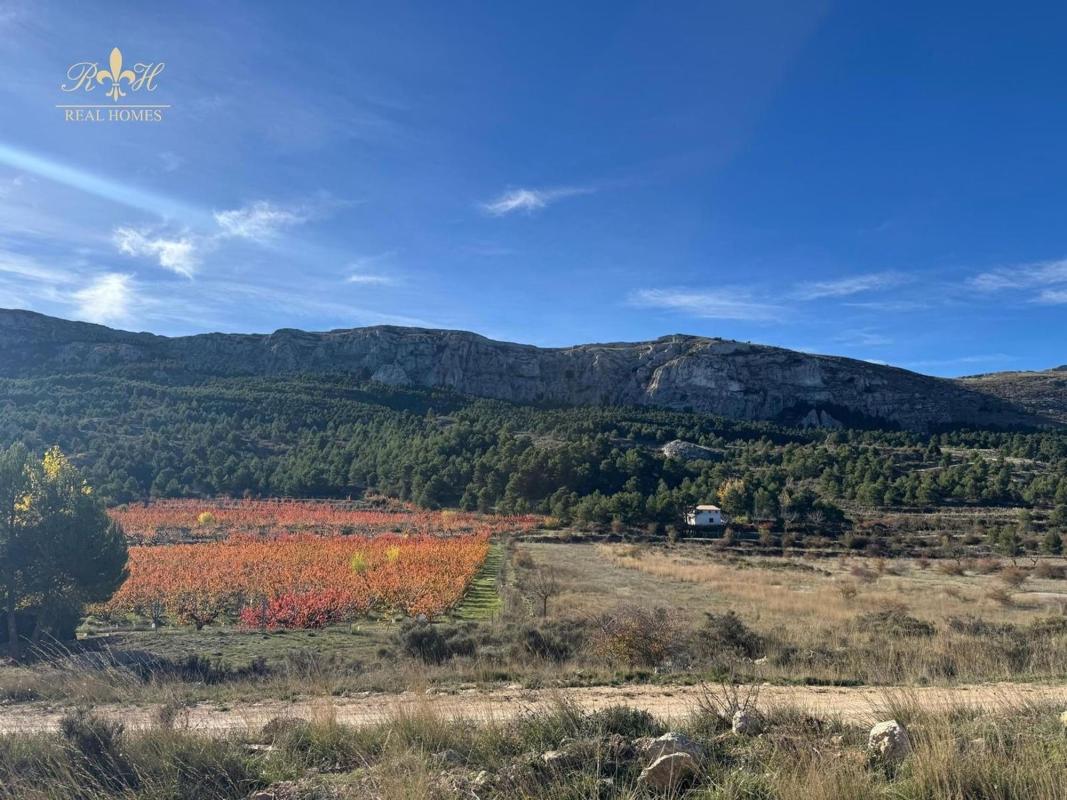 Продажа отдельного шале в Casa o chalet en Confrides, Конфридес photo 4