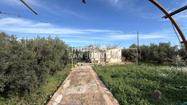 Продаётся загородный участок в  Finca rústica en Centro, Mutxamel , Мутхамель photo 1