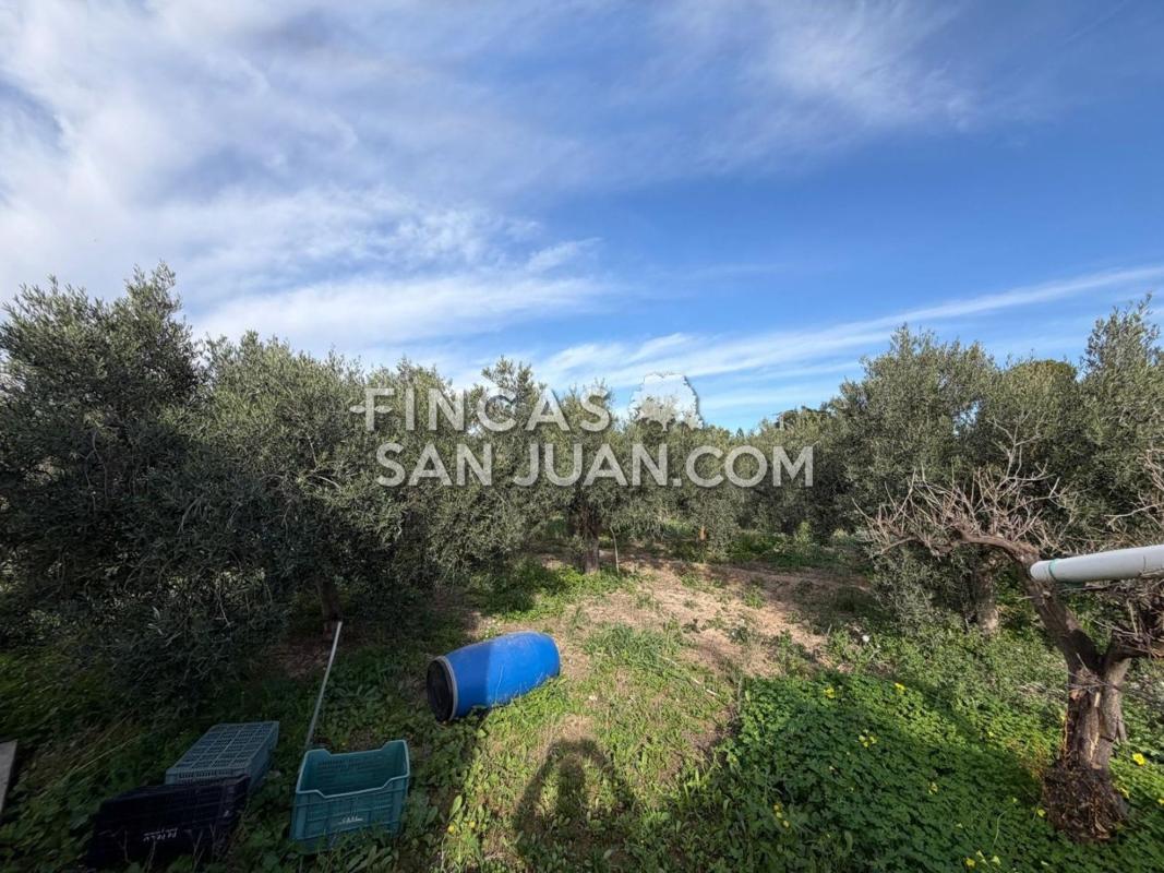 Продажа загородного участка в Finca rústica en Centro, Mutxamel , Мутхамель photo 3