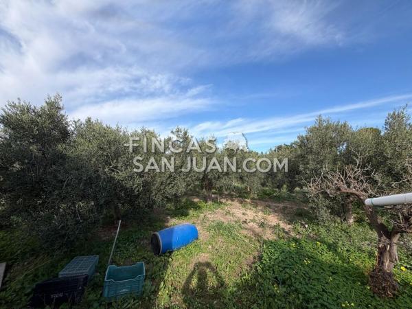 Продаётся загородный участок в  Finca rústica en Centro, Mutxamel , Мутхамель photo 3