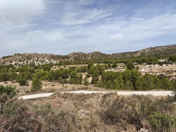 Rustic farm for sale in  Finca rústica en Partida Caprala, 24, Petrer , Petrer photo 2