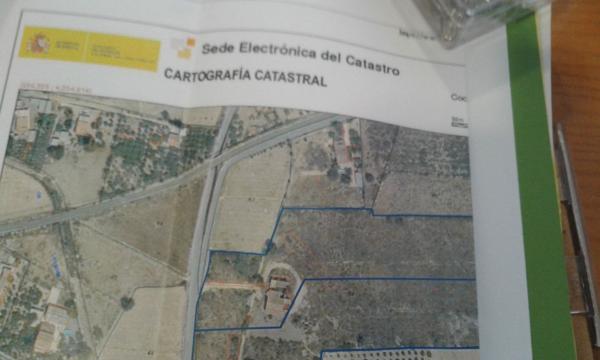Finca rustykalna na sprzedaż w  Finca rústica en Algoda-Matola-Llano de San José, Elche / Elx , Elche / Elx photo 1