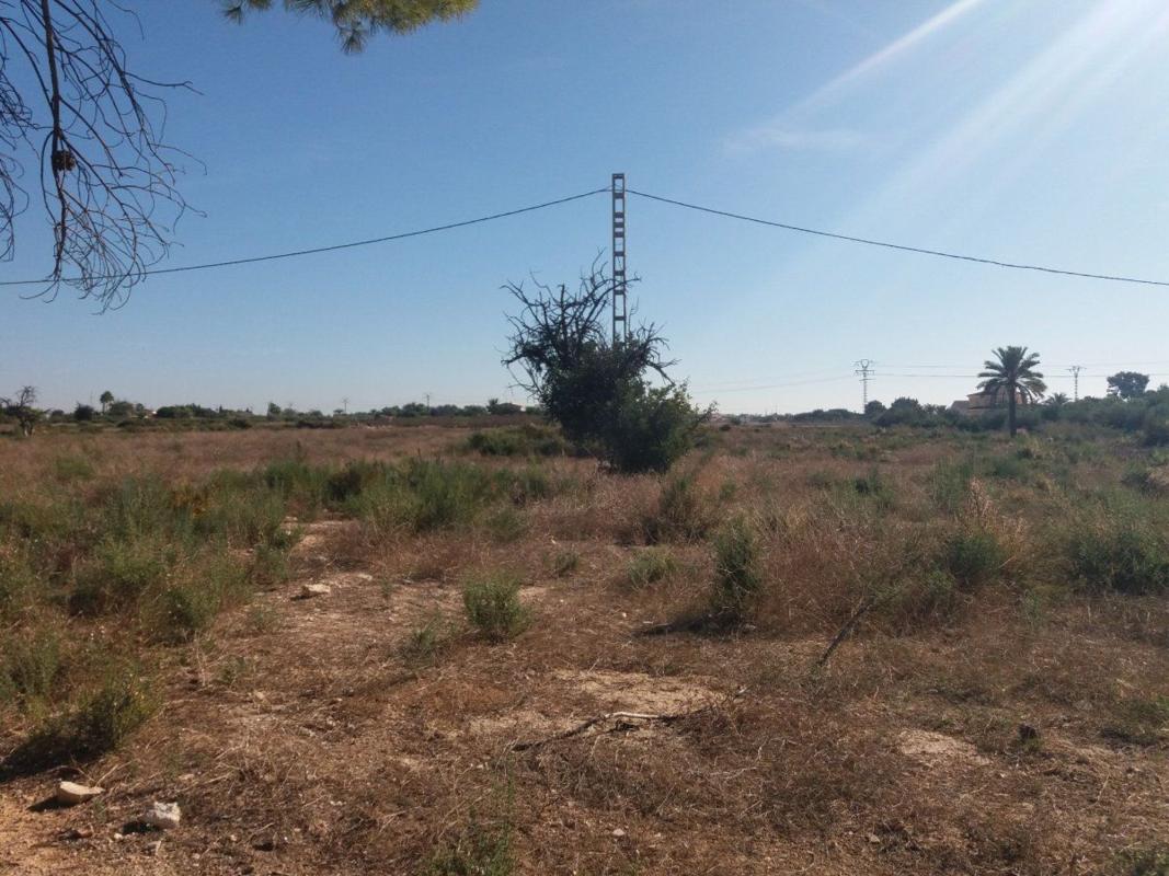 Sprzedaż działki rolnej w Finca rústica en Algoda-Matola-Llano de San José, Elche / Elx , Elche / Elx photo 2
