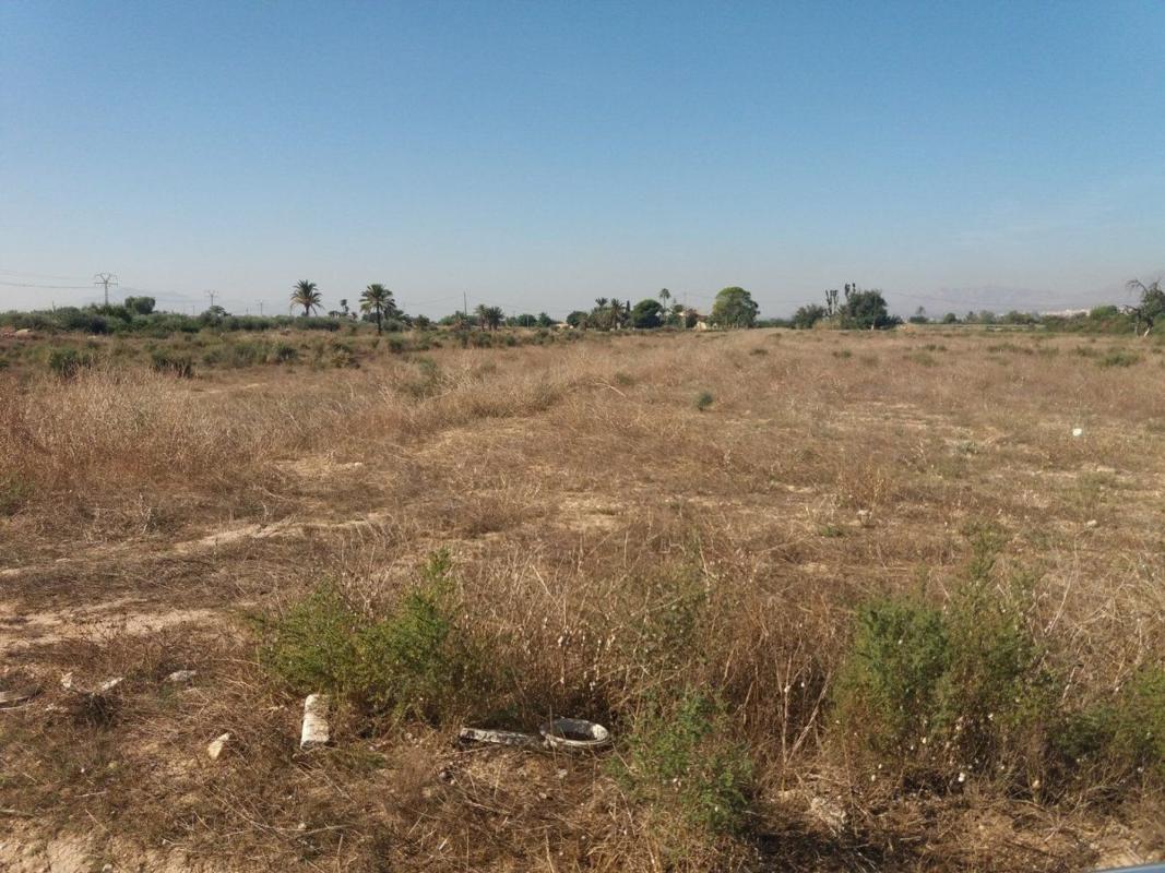 Sprzedaż działki rolnej w Finca rústica en Algoda-Matola-Llano de San José, Elche / Elx , Elche / Elx photo 3