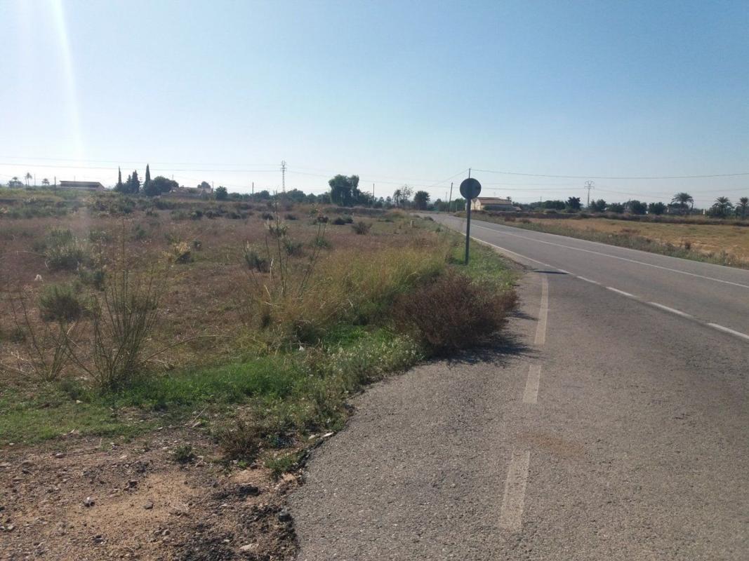 Sprzedaż działki rolnej w Finca rústica en Algoda-Matola-Llano de San José, Elche / Elx , Elche / Elx photo 4