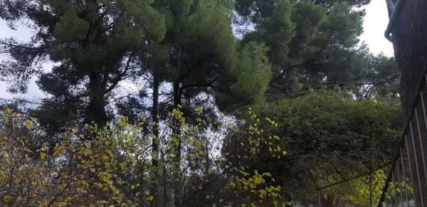 Masía en Rambla Alta, 59, Centro - Zona Alta, Alcoy / Alcoi photo 3